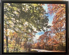 Fall Beauty In The Mountains. Daniel Boone Nat Forest. Kentucky Folk Art