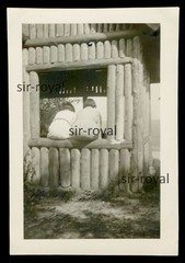 Two Women from Behind Circa 1930 – Photo 6x9cm