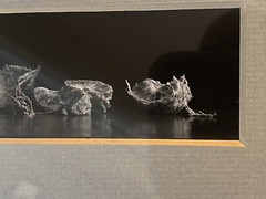 1983 art photographer RONALD C. STARK modern art b/w PHOTO mcm S/N