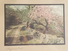 VINTAGE Wallace Nutting Colorized Photo HONEYMOON STROLL Nature Road 14 3/4″x12″