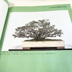 Nihon Bonsai Sakufu Ten 5th 1980 potted plants Japanese tradition art Photo Book