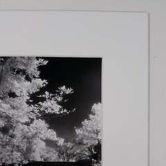 White Mat Photo Landscape Park Infrared Photography Bridge Trees Art Print