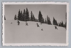 Ski Touring Ski Leisure – Old Photo
