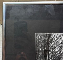 Original CLEMENS KALISCHER ‘Path in the Woods POWNAL VERMONT’ Landscape PHOTO