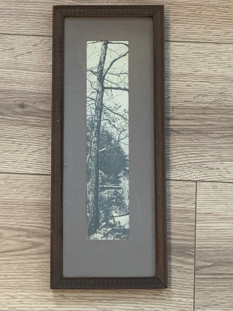 Early 20th Century Pictorialist Winter Tree Silver Gelatin Photograph