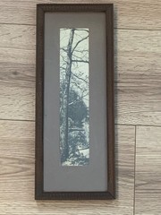 Early 20th Century Pictorialist Winter Tree Silver Gelatin Photograph