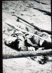 StereoJet Polarized Print 3D Stereoscopic Photo Dead bodies Great War – 6