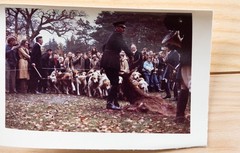 Vintage Photo France Hunting Dog 7X10Cm 1970