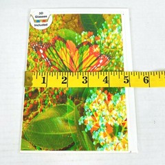 Monarch Butterfly 3-D 3D Nature Photograph Art Phantom Image Barry Rothstein New