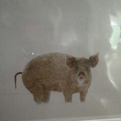 Vintage Bill Coleman Signed Numbered Matted Cold Pork Pig Photograph AMISH