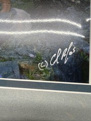 King Of The Alaska Mountains Fall Sheep A Hand Signed Print By Carlos Rojas
