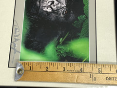 Thomas Mangelsen 8X10 «Gentle Giant The Silverback» Image of Nature P155