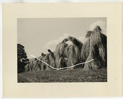 22x18cm original barite photo «Heumandl» Sport Berger Vienna 1950s photo