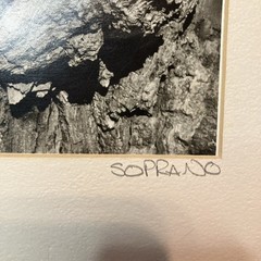 VTG Original Artwork Photography Modernist Black White Tree Bark Signed Soprano