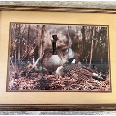 Vintage Framed Canada Geese Print – Rustic Wildlife Wall Art