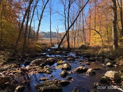 Saturated Colors- Sterling Forest, NY, Forest, Green, Nature, Outdoor, Stream