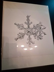 MIKE & DOUG STARN TWINS ‘Sno6_005.1 (Snowflake)’, 2005 SIGNED Photograph **NEW**