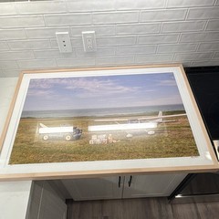 Gray Malin Signed and #6 Framed Matted Color Photo Airplane Vintage Autos Dog