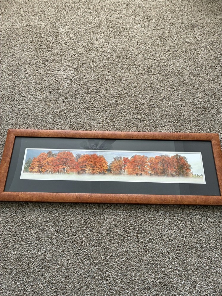 Beautiful Fall Country Picture With Frame & Matting