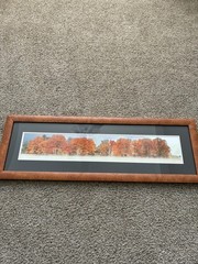Beautiful Fall Country Picture With Frame & Matting