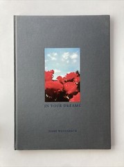 Terri Weifenbach In Your Dreams 1998 – Second Printing – Nazraeli Press