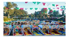 Xochimilco Boats, High Resolution Image, Many Formats, TV Art