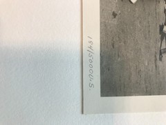 Photo Print by Jacques-Henri Lartigue 184/5000 1906 Villerville Naniket Monsieur