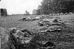 New Civil War Photo: Confederate Dead at Rose Woods after Gettysburg – 6 Sizes!
