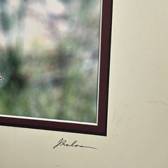 Marthas Pennant Dragonfly Matted Photograph Signed John Boland Artwork 11×14