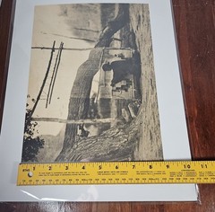 Edward Curtis «the blanket weaver» Photo Engraving Print From 1972 Navajo COA