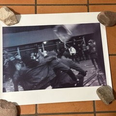 Janine Gordon Photograph 60″x24″ C-print Edition Grid Bike Kill Signed Fine Art