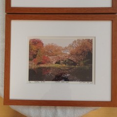Michael Chen Signed Limited Edition Photo Set of 3 Matted & Framed Central Park
