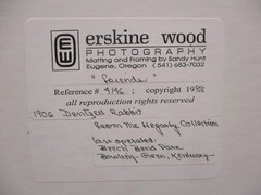 Erskine Wood 1988 Framed Photo Teddy Bear on Rabbit 11.5×14.5 Art Print