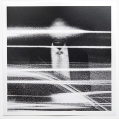 SIGNED Trent Parke Photo – Man on corner. Adelaide 2014. Magnum Square Print 6×6