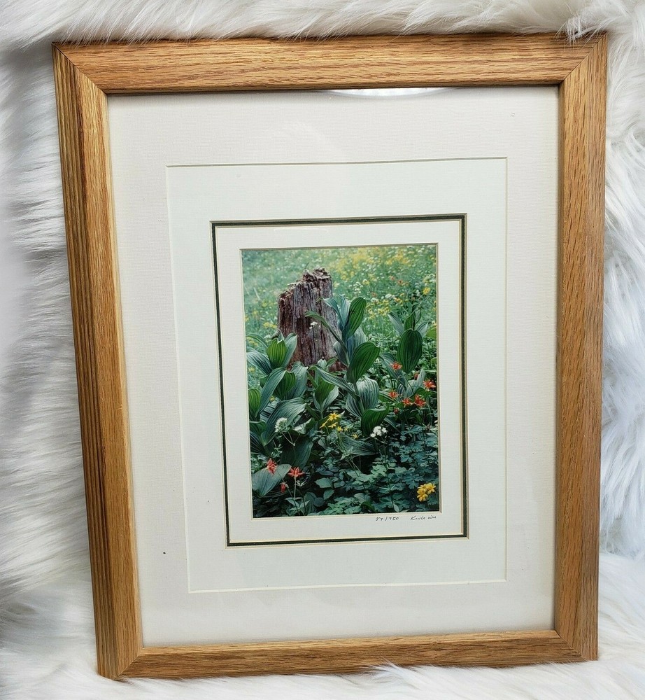 KING WU Framed Art Photo Print SUMMIT LAKE WA HIKE Landscape COA Signed Numbered
