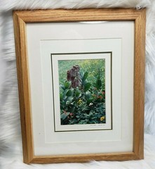 KING WU Framed Art Photo Print SUMMIT LAKE WA HIKE Landscape COA Signed Numbered