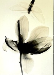 Judith McMillan (b. 1945) Art Show Announcement Card 2007 NYC