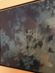 Tom Fels cyanotype Chirstie’s auction photographer Atkins style