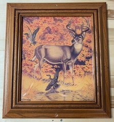Picture Deer and Ducks in the Woods Print Framed Glass (146)