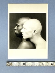 Robert Mapplethorpe (1946-1989) Art Print Card – Ken Moody & Robert Sherman 4×6”