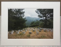 Vintage 2018 SUSANNAH HAYS ‘Bee Boxes Hives’ Datca TURKEY Landscape PHOTO