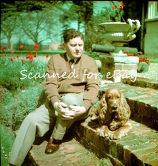 45 NEGATIVES IN ALBUM RICH COUPLE & BOYS AT HOME & GARDEN 1941-56 FASHIONS