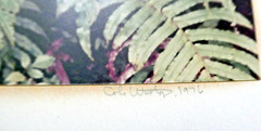 Signed Weston Photo Gelatin Silver 19 1/2″x15 3/4″ 1976