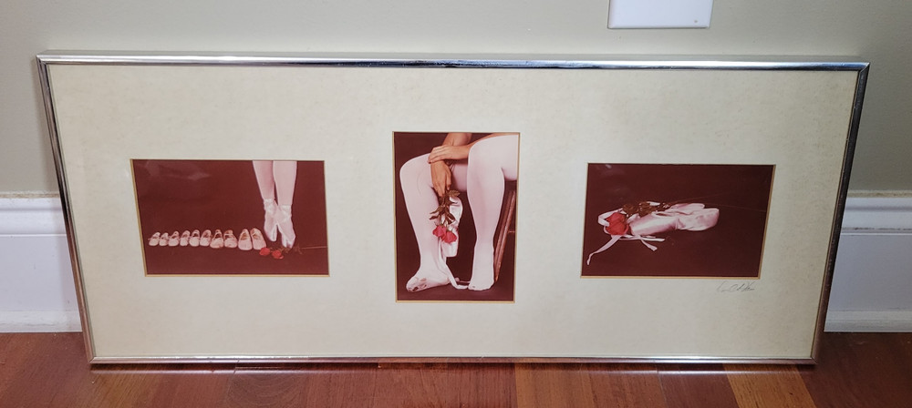 David A Harris Ballet Pointe Shoes Ballerina Dance Framed Art Photgraph Prints