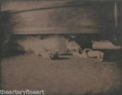 VIK MUNIZ ‘Under the Bed’ SIGNED Ambrotype Photograph from ‘Clayton Days’ Framed