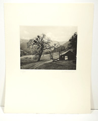 KURT MARKUS Meadow And Oak 1987 Photogravure Signed ltd 1/300