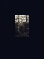JOSEF SUDEK circa 1972 Original Photograph