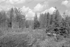 Negative-Molodi-Russia-Infantry-Regiment 270-Wehrmacht-Quarter-1942-175