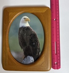 Wood Picture Frame 8×6 -Oval Opening- Bald Eagle Photo Rustic Decor