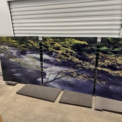 Peter Lik «Forest Dreams» 12 Foot Epic Washington Picture Recess
